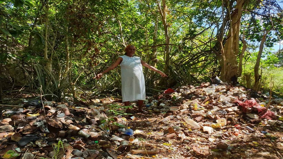 Concerns raised over illegal dumping of rubbish near mangroves FBC News