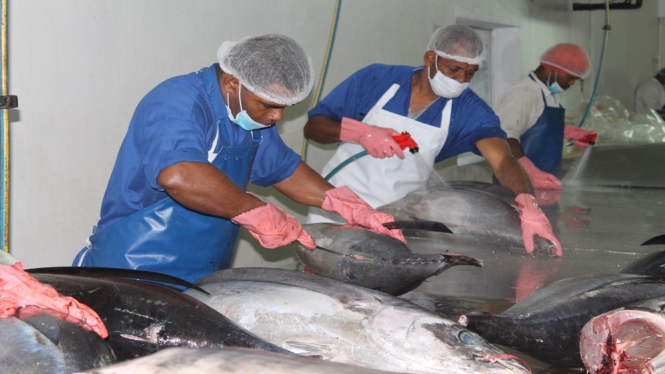 Fisheries Ministry turns to PICs to assist with tuna shortage FBC News