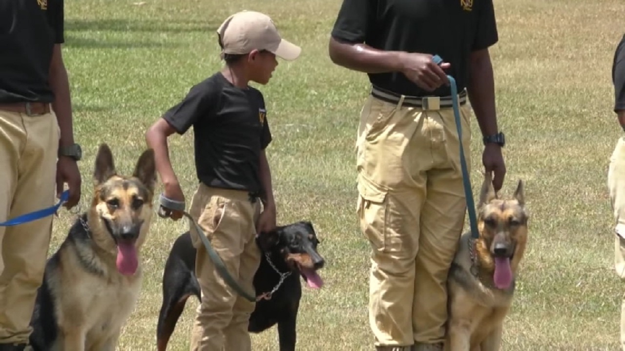 Enforce k9 training sales school